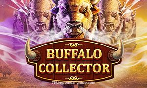 Hình ảnh Buffalo Collector tại 79king
